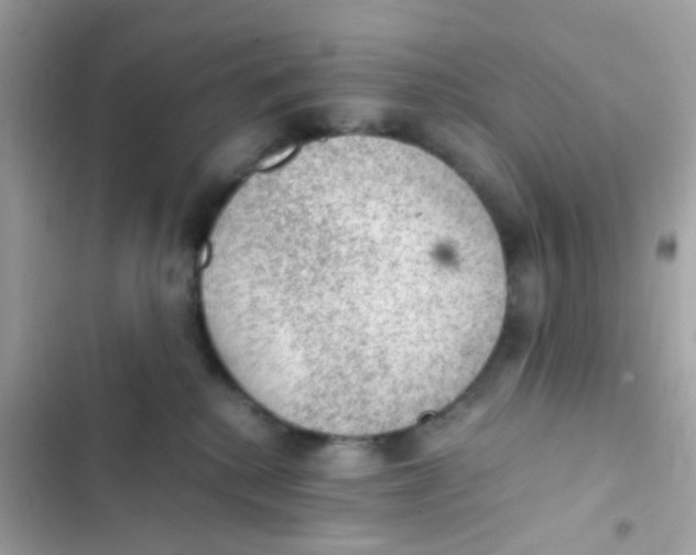 X0000103160280200809192101