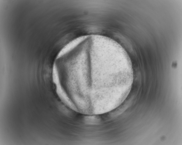 X0000103160281200809192101