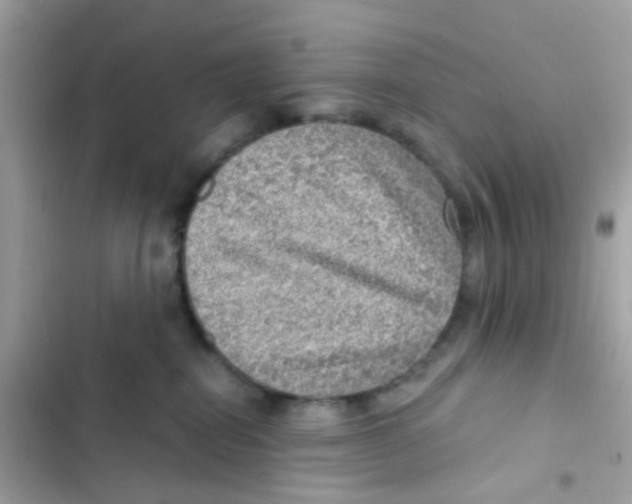 X0000103160282200809192101