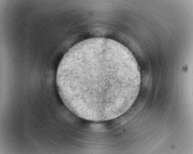 X0000103160283200809192101
