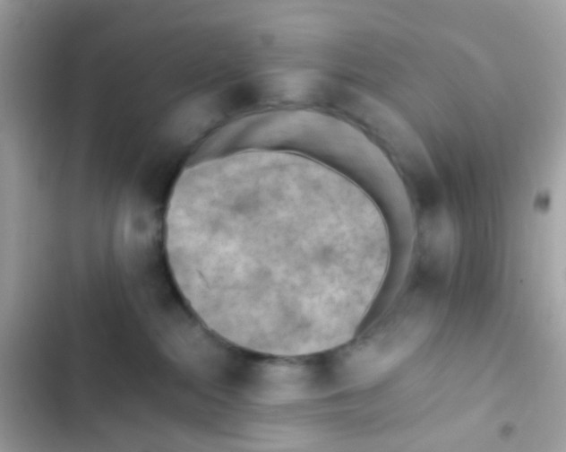 X0000103160284200809192101
