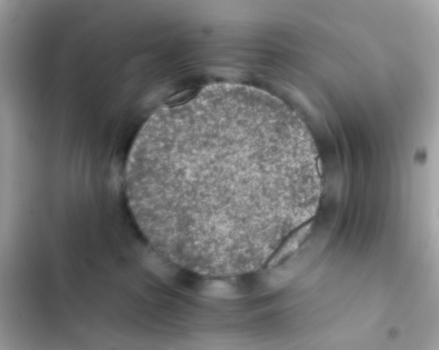 X0000103160285200809192101