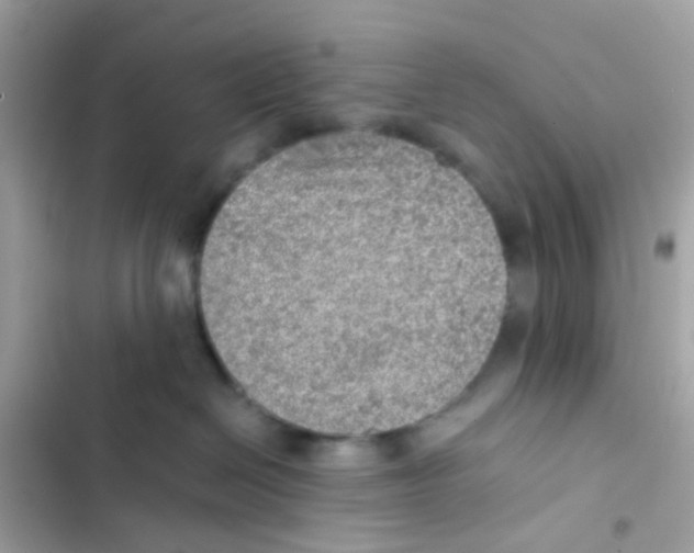 X0000103160286200809192101