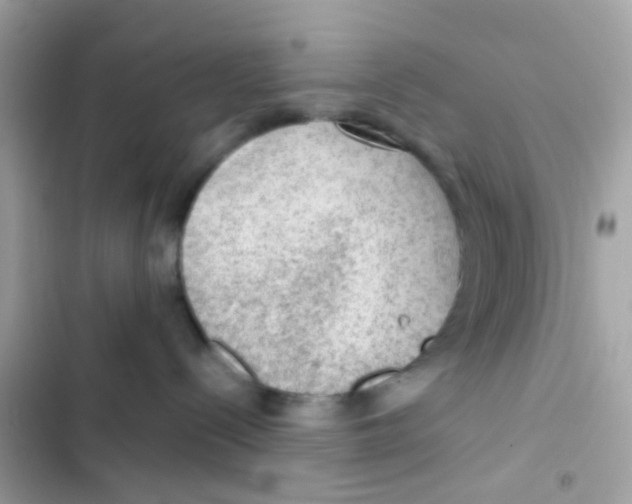 X0000103160288200809192101