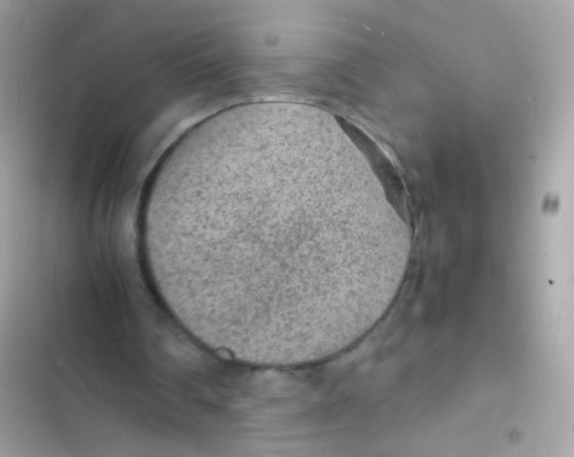 X0000103160290200809192100