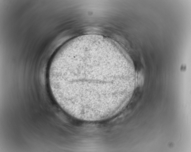 X0000103160291200809192100