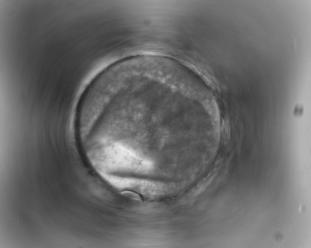 X0000103160292200809192100