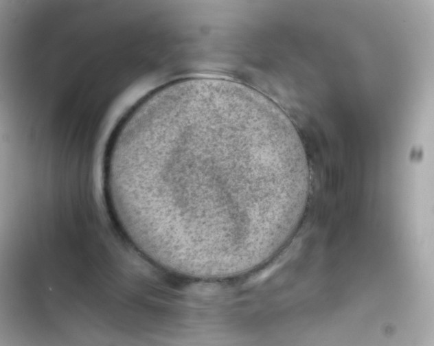 X0000103160294200809192100