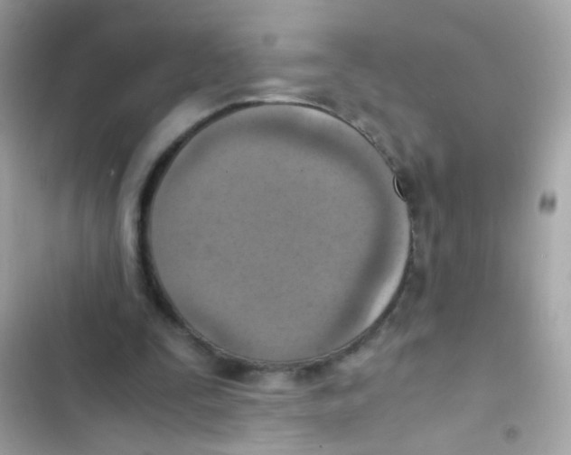 X0000103160295200809192100