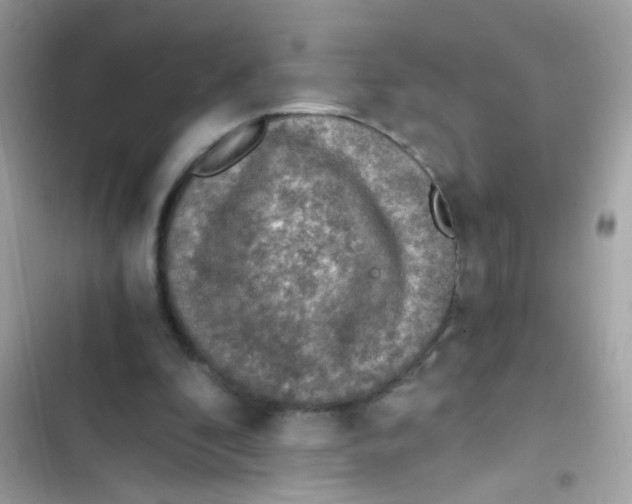X0000103160296200809192100