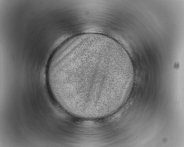 X0000103160298200809192100
