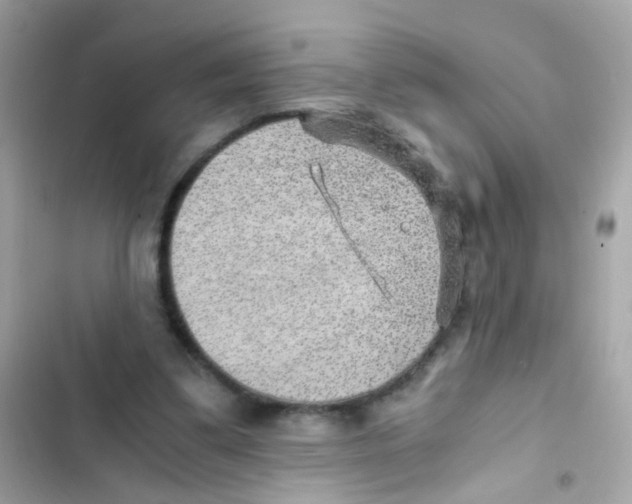 X0000103160299200809192100
