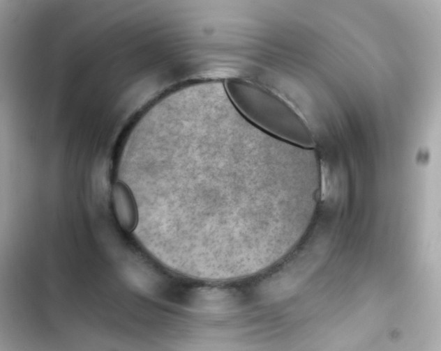 X0000103160300200809192100