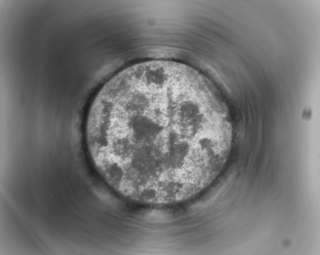 X0000103160303200809192100