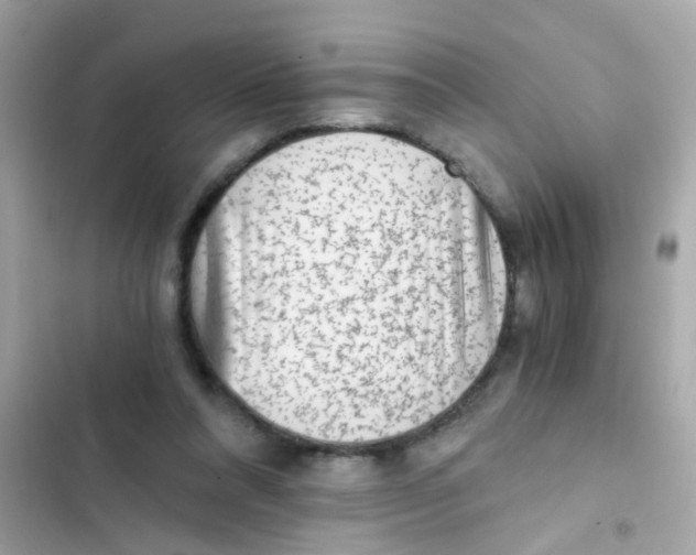 X0000103160304200809192100