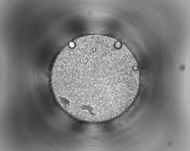 X0000103160305200809192100