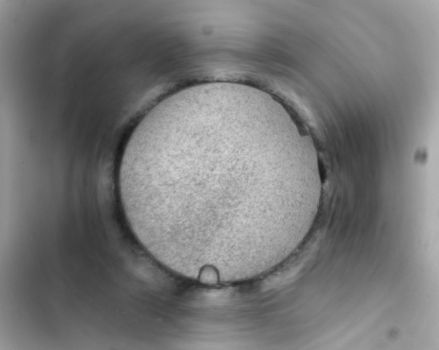 X0000103160306200809192100