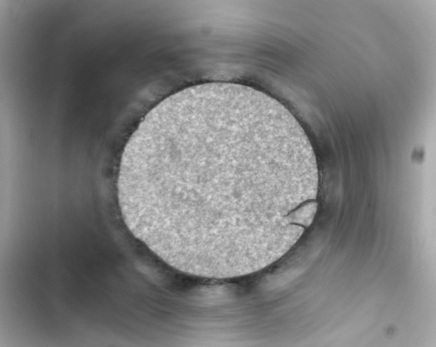 X0000103160307200809192100