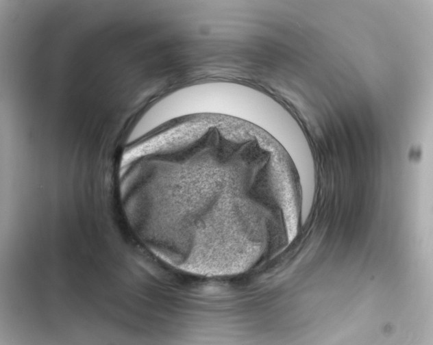 X0000103160308200809192100