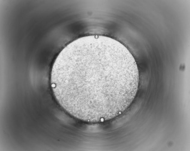 X0000103160309200809192100