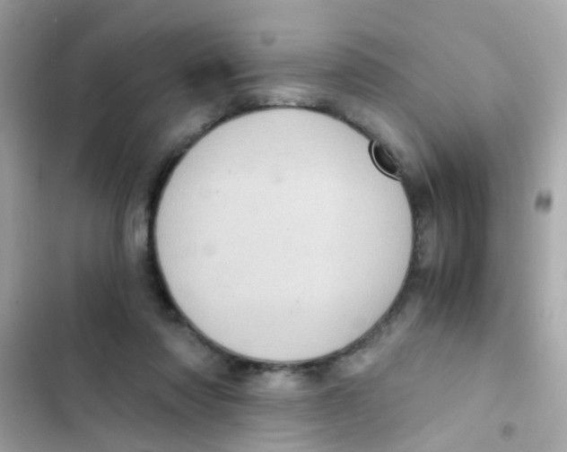 X0000103160310200809192100