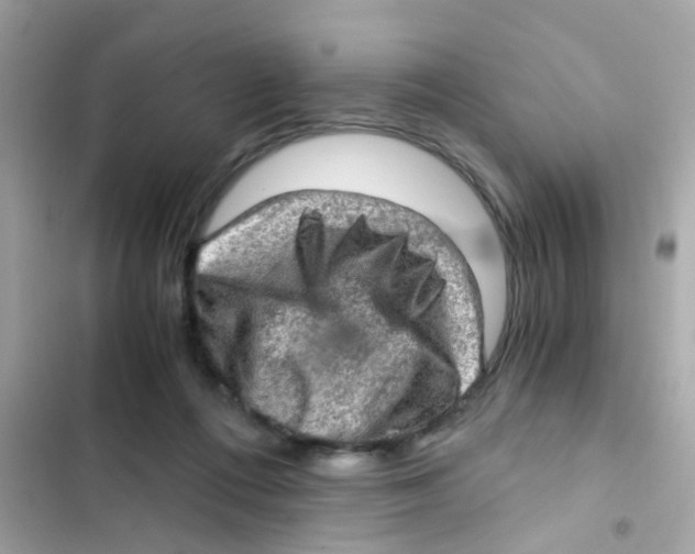 X0000103160312200809192100