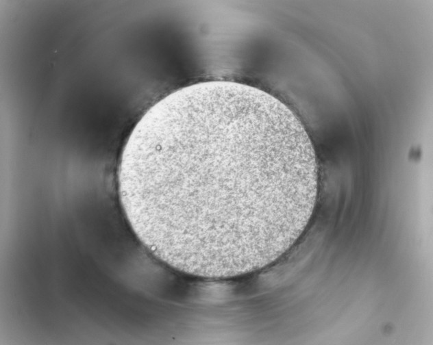 X0000103160313200809192100