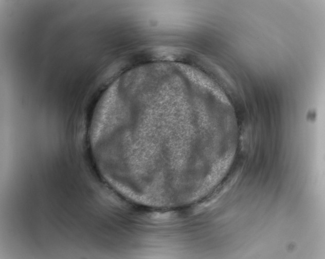 X0000103160314200809192100