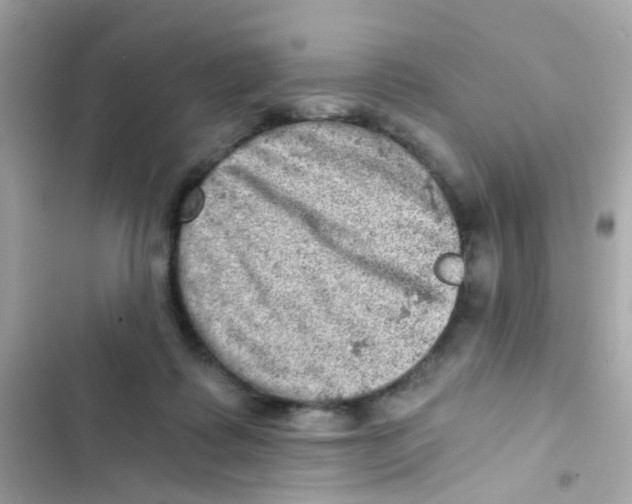 X0000103160315200809192100