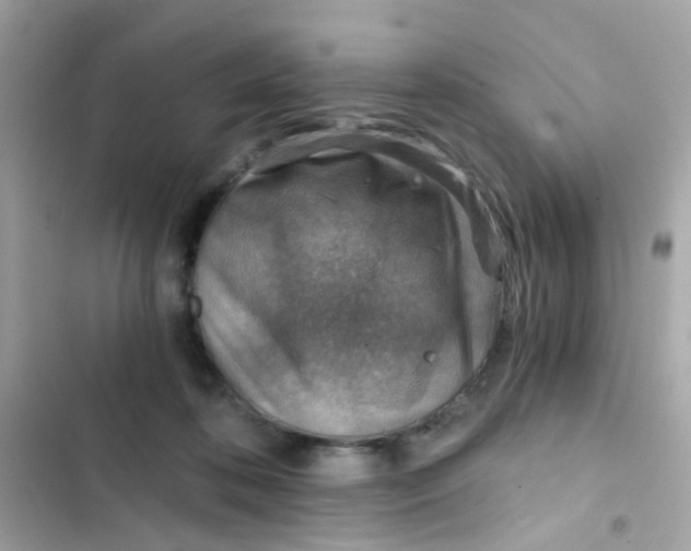 X0000103160316200809192100