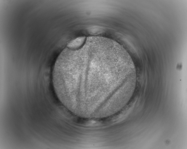 X0000103160319200809192100