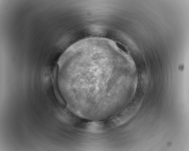 X0000103160320200809192100