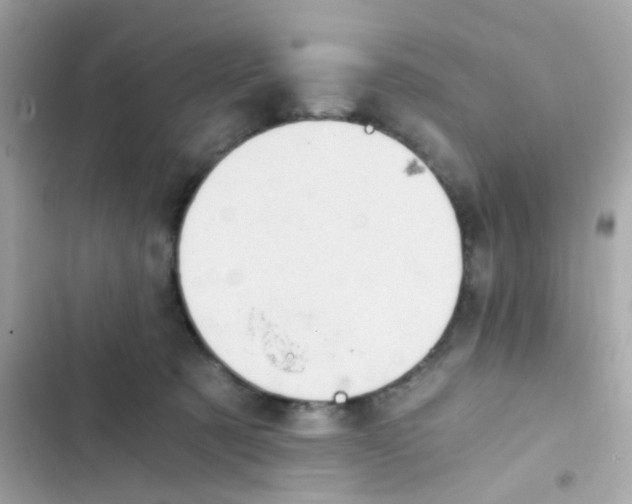 X0000103160321200809192100