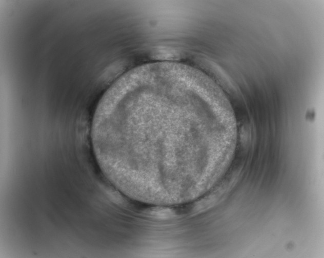 X0000103160322200809192100