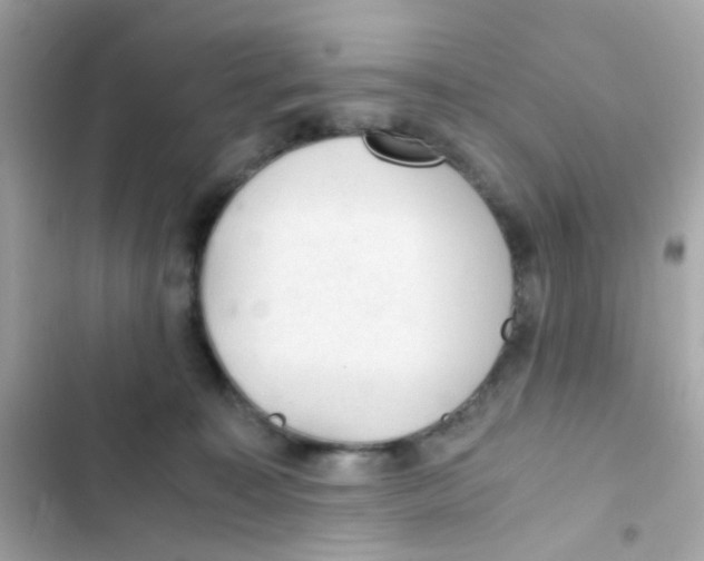 X0000103160323200809192100