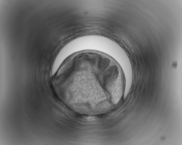 X0000103160324200809192100