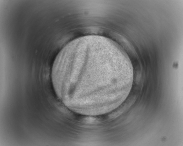 X0000103160326200809192059