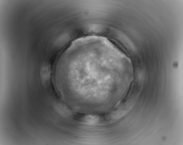 X0000103160328200809192059