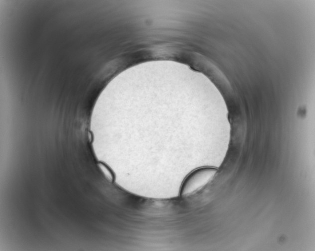 X0000103160329200809192059