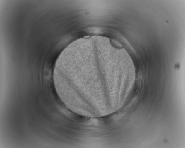 X0000103160330200809192059