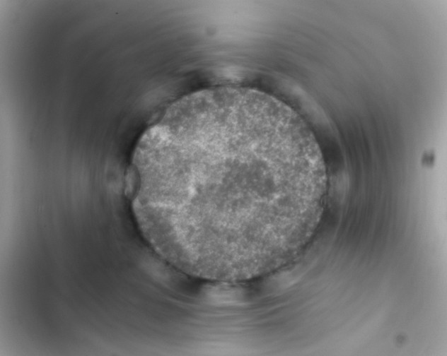 X0000103160331200809192059