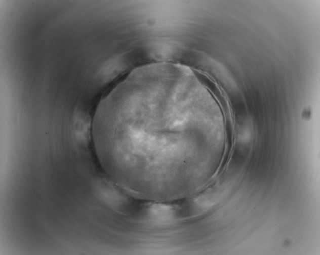 X0000103160332200809192059