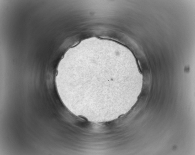 X0000103160333200809192059
