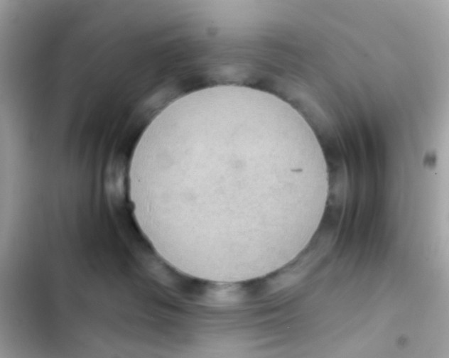 X0000103160334200809192059