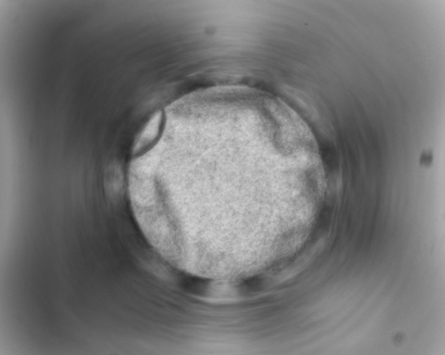 X0000103160335200809192059