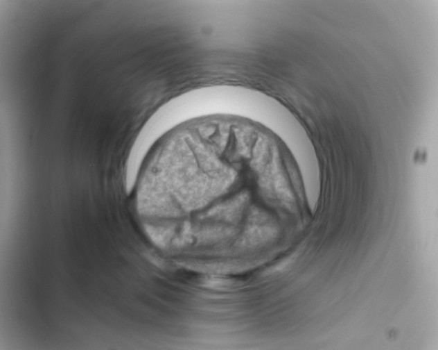 X0000103160336200809192059
