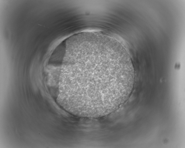 X0000103160337200809192058