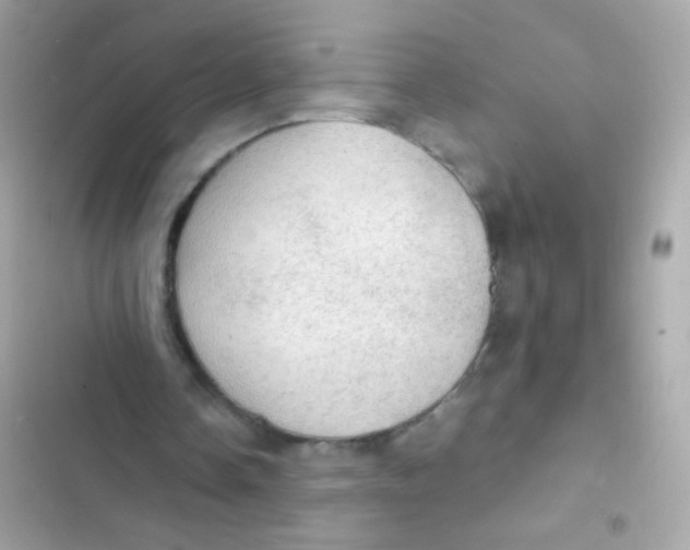 X0000103160338200809192058