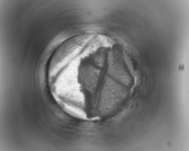 X0000103160339200809192058