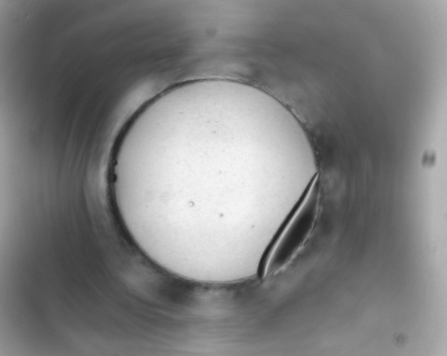 X0000103160340200809192058